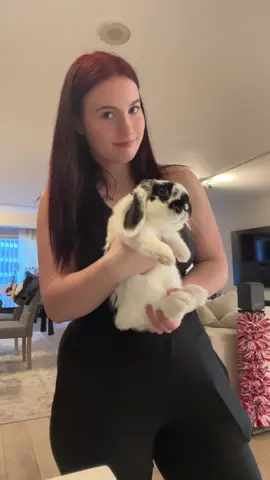 My wiener #fyp #foryou #bunny 