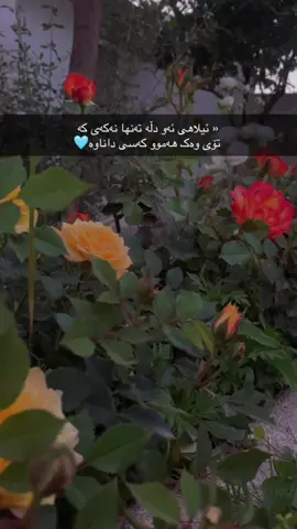 ئیلاهی ..#rasty_lak #fyp #foryou 