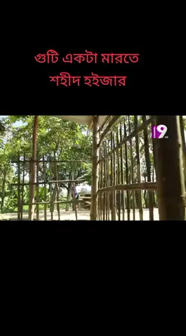 bachelor point 