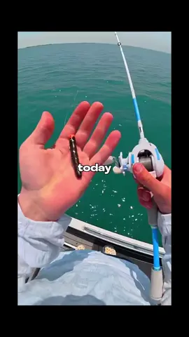 #fishing #adventure #tourism #bigfish #camping #camp 