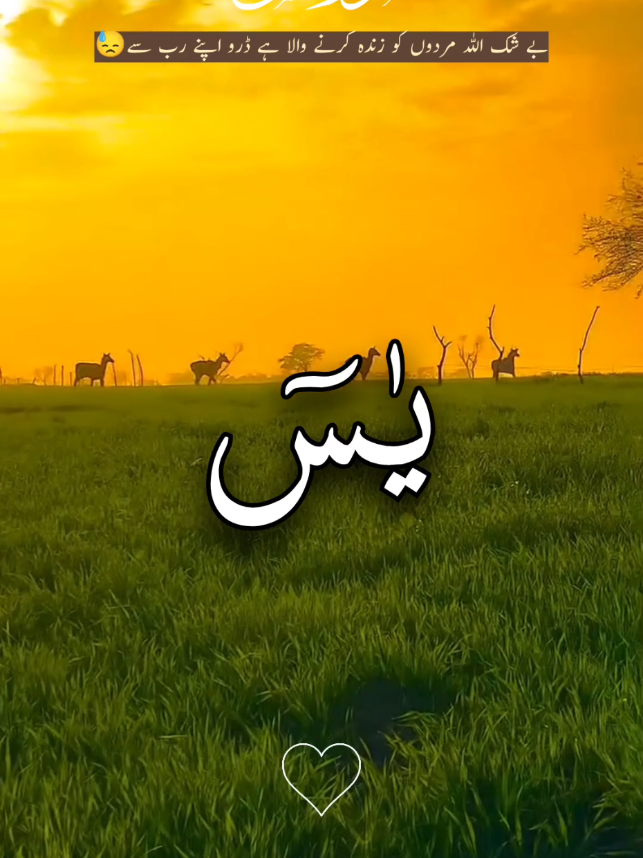 surah Yasin with Urdu translation 🫶🕋🫶  #ارح_سمعك_بالقران #ارح_سمعك #راحة_نفسية #دوردشريف_پرھ_ليجے #صلوا_على_رسول_الله #القران_الكريم_راحه_نفسية😍🕋 #امين_يارب_العالمين #القران_الكريم_راحه_نفسي😍🕋 #سبحان_الله_وبحمده_سبحان_الله_العظيم #musliamtiktok #quran_alkareem #Tiktok #1million #4you #growmyaccount #quran #foryou #foryoupage @TiktokPakistanOfficial @TikTok @CapCut @TikTok UK @Peace Of Quran💫 