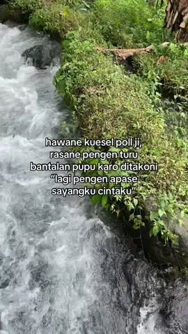 cuapek poll#fypppppp #fyp #krian #krian24jam 