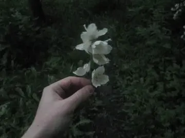 спокойствие