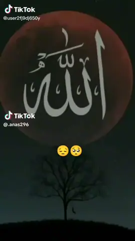 يااللّٰه اللّٰه أكبر 