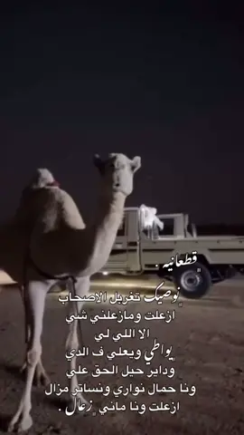 نوصيك تغربل الاصحاب .#قطعانيه #بدون_موسيقي #اعادة_النشر🔃 #لايك_متابعه_اكسبلور #ليبيا_طرابلس_مصر_تونس_المغرب_الخليج #شعراء_وذواقين_الشعر_الشعبي #الشعب_الصيني_ماله_حل😂😂 