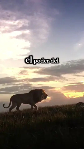 El poder de La Oración 🙏❤️🙏-oscar medina  #alabanzas_cristianas #adoracioncristiana #adoracion #musicacristiana #fyp  #agamosviralajesus #videoscristianos #cristoviene #cristianosentiktok #oracionespoderosas #capcut 