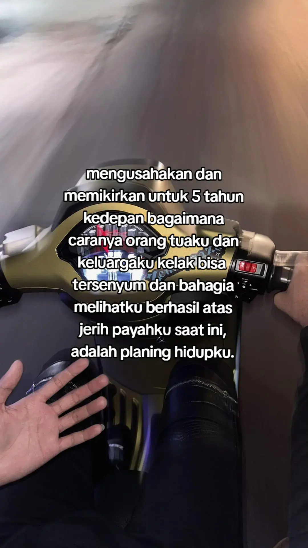 #zmn14 