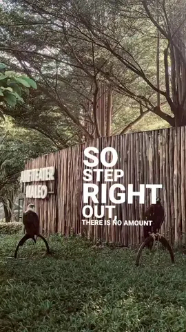 #lyricsvideo 