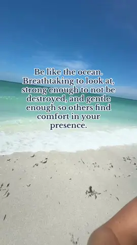 I hope I live the ocean life in every life 🌊🦀🐬🐠 #ocean #oceanlife #oceangirl #saltlife #florida #floridamom 
