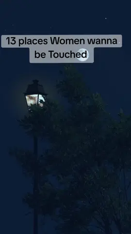 13 places Women wanna be touched. #Relationship #relationshipquote #relationshipgoals #relationshiptips #lovequotes #fypquotes #inspiration #motivation #tiktokusa #tiktokuk 