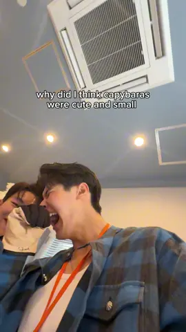 I THOUGHT THWY WERE HAMSTER SIZED 😭😭😭