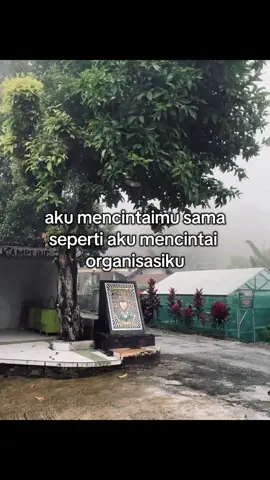 #pshtpusatmadiun #psht #fyp 