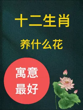 十二生肖养什么花寓意最好 看看你家缺哪棵＃花卉绿植 #花卉爱好者 ＃养花知识分享 #生肖兔 ＃养花如爱人 ＃花卉植物 #花材的处理和养护 #年宵花 #爱生活爱养花 #生活美学#生肖鼠#生肖牛#生肖蛇#生肖龙
