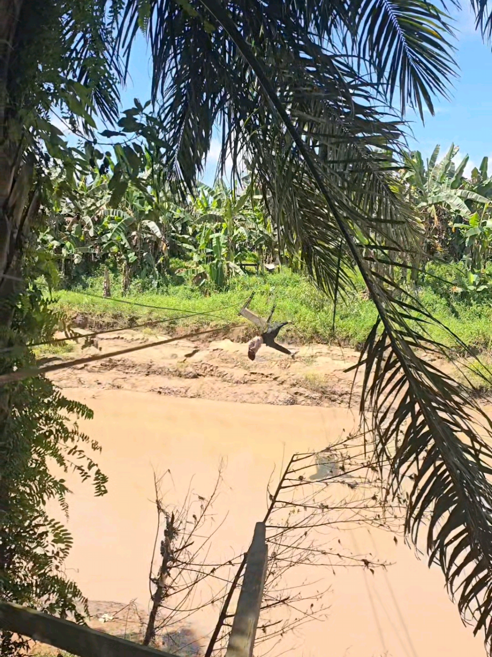 Ya begitulah kira kira. Mencoba bermain dengan kereta gantung ternyata tak semudah yang saya kira. Kereta yang harusnya membawa saya menyebrangi sungai justru membawa saya bermain dengan sungai. By the way 