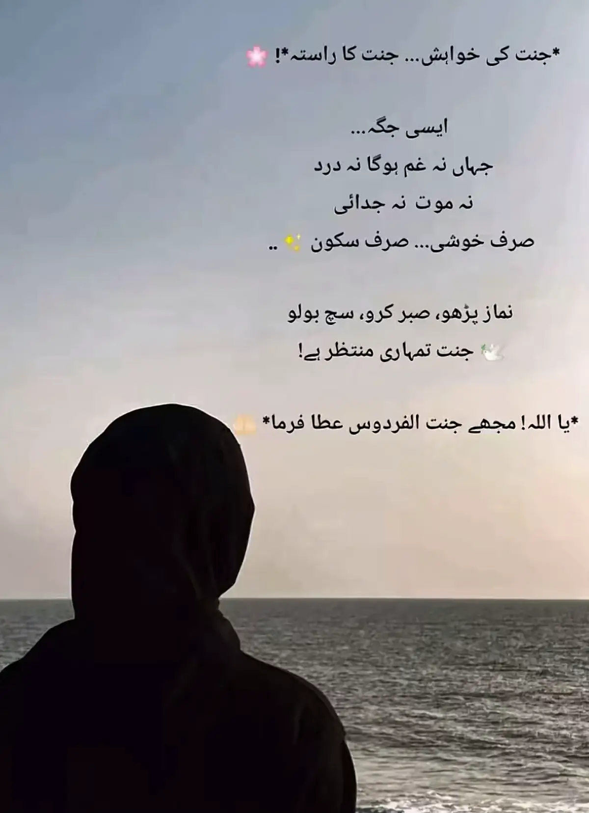 #Allah🖤🤍 #اللّہ #🥀🦋🖤 #SHUKAR #SABR #