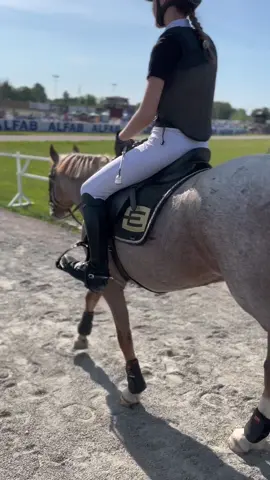 Älskade ponny går in och är felfri i dagens Lc inverkan och kommer trea kan inte med ord beskriva hur mycket jag älskar honom ❤️❤️