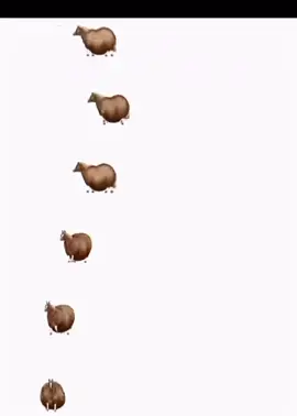 Spinning Horse sticker, go to make the spinning horse sticker, Go #Go#Spinnighorsesticker#sticker#spin ninghorse #trand #trend#funnysticker #horse #2 #2horse #imnew #spinning #brownhorse #gotomake #funny#cute
