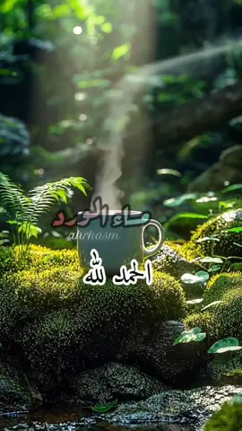 اللهم اجعلني ممن إذا أنعمتَ عليه شكر، وإذا ابتليته صبر، وإذا أذنب استغفر.🌹🌿#مساكم_سعاده #مساكم_الله_بالخير  #مساء_الورد #مساء_الخير  