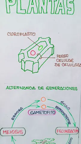 #biologia 