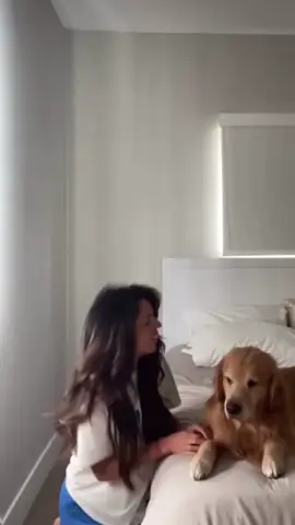 Love of my life 🐕❤️ . . . . . . . . . . #dog #dogsoftiktok 