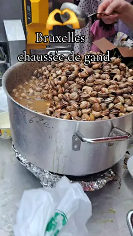 fati Brussel 🇧🇪 #فرنسا🇨🇵_بلجيكا🇧🇪_المانيا🇩🇪_اسبانيا🇪🇸 #berkane_49🍊🍊🍊🍊🍊🍊🍊🍊 #اسبانيا🇪🇸 #الجزاىر🇩🇿تونس🇹🇳المغرب🇲🇦 #تحياتي_لجميع_المشاهدين_والمتابعين #اكسبلور #bruxllesbelgium😍🇧🇪🇧🇪 #الشعب_الصيني_ماله_حل😂😂 