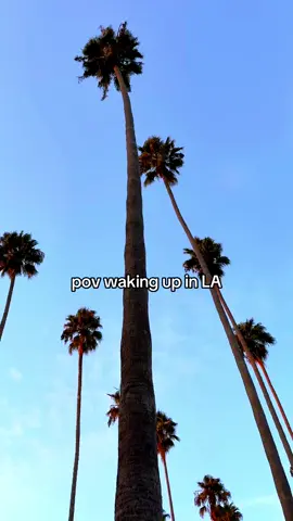 There’s no city like LA 🇺🇸🌴💙 #losangeles #lagirl #lalife #westhollywood #hollywood #california #palmtrees #dream #fyp #fypage #beverlyhills #losangeleslife 