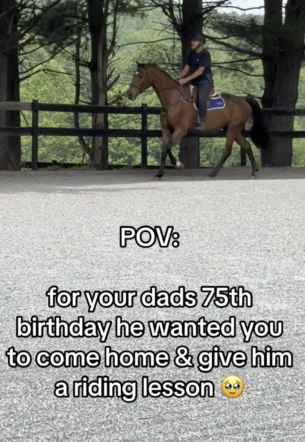 #horsegirl #equestrian #horsebackriding #farmlife #horse #horsetraining