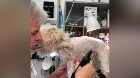 Parker’s Doghouse helps with  Cookie’s  rescue. Sadly, some people don’t take care of their dogs, simply feeding them, bathing and brushing them.  end up like this, a Cookie was all excited to get herself all cleaned up. #brushyourdogdaily #dogsoftiktokviral🐶🦮 #savedogs🙏🏻 @Parker's Doghouse 