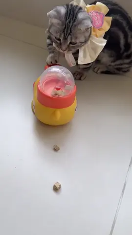 🦆🐾 **Snack time just got *quack-tastic*!** 🎉 Turn mealtime into playtime with the **DUCEK Little Yellow Duck Feeder Toy**—your cat’s new favorite puzzle pal! 🧩✨ Spin the duck, release the treats, and watch your clever kitty *hunt* for their kibble like the tiny predator they are. 🕵️♀️🍪  👉 Swipe to see how it *slows down eating* and burns energy (bye-bye, midnight zoomies!).  👉 Interactive design + durable materials = endless fun for curious cats *and* entertained humans. 🙌  💬 Comment “QUACK” below to treat your feline to a snack-filled adventure! 🐱🎣  🛒 Tap the link in bio to grab yours—*because even meals deserve a game!* 🦆🚀  #CatToys #PuzzleFeeder #DUCEK #InteractivePlay #CatLovers #SlowFeeding #BrainGames #HappyKitty  —  **P.S.** Warning: May cause *extreme* paw-tapping and duck obsession. 😼🦆  —  *Let me know if you’d like to add material details, sizing, or a promo code!* 🛠️🎁