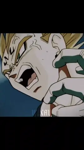 NO OBEDECERE LAS ORDENES QUE TU ME DES!!! #vegeta #fyp #dragonball #edit 