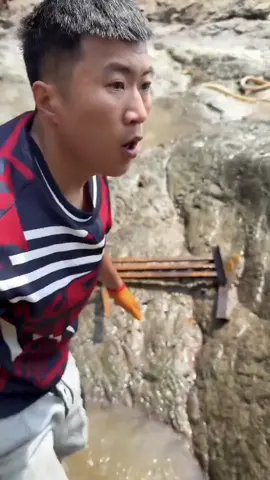 华哥花一万块钱找我包坑、 我也不能小气花了2300块买了一整副牛骨架、 牛头、 还有猪头、30多斤的红古鱼打窝这个上千平的大坑、 看看这个收获没亏吧？ #赶海 #抓鱼 #大海的馈赠 #我的乡村生活
