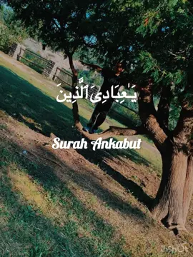 Surah Ankabut #quranrecitation 