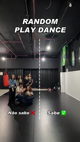 Quantas você saberia dançar? 😮‍💨  #Kpop #kpopper #fyp #viral #kpopdancecover #dancecover #kcoverist #kpopchallenge #fypviraltiktok🖤シ゚☆♡ 