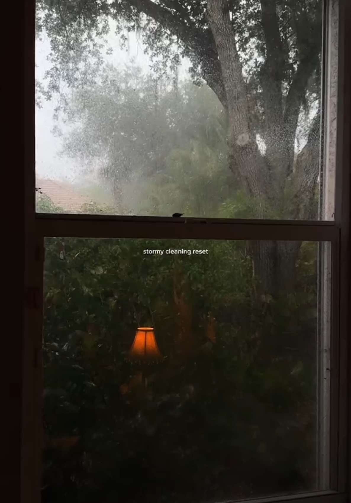 I love stormy days 🌧️  #twilight #cleanwithme #roomreset #stormynights #rainynightdiary #aestheticrooms #bellaswan #cozy #fallseason #downtowngirl 