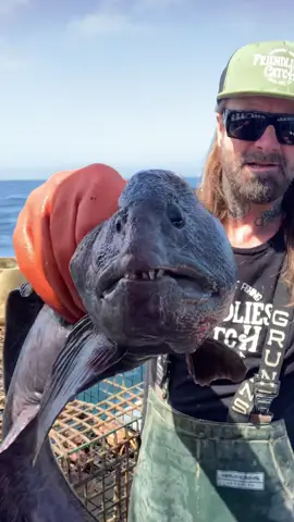 Friendliest Catch Commercial Crab Fishing #friendliestcatch #fishing #commercialfishing 