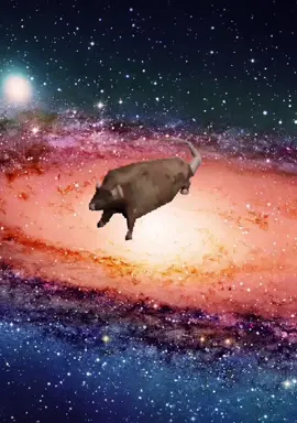 rat in space rat in space rat in space #rat #inspace #ratinfestation #a #whole #rat #canyoubelieveit #icant #surely #its #not #real #but #it #is #meme #video #meme #viral #fyp