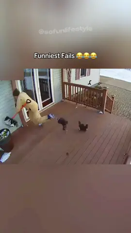 #funnymoments #funnytiktok #funnyvideoscomedy #funnypets #funnycomedy 