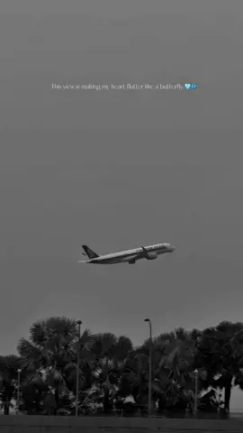 Memories are the best things in life, I think.🩵🫠 #tamilsong #fyp #fypage #viral #airportlife #Love #venpanimalare #aesthetic #trending #1millionaudition