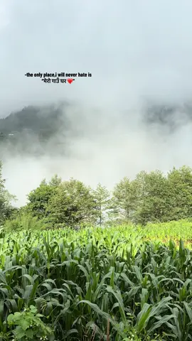 Pov: you are,Obsessed with your own hometown✨😌  “Solukhumbu🫶”                                                                                                                                                                                                                                                                                                                                                                                                                                                                                                                                                                                                                                                                                                                                   #hometown #solukhumbu #obsessed #rain #fyp #foryou  #nature #view #addicted #village #fy #foryou #fyp #fyppppppppppppppppppppppp 