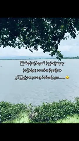 ပုတ်ပွနေတဲ့ စိတ်ဓာတ်နဲ့ ရုပ်နဲ့လဲလိုက်ပါတယ် တစ်မျိုးလုံးတစ်ဆွေလုံးပေါင်းတောင် ငါ့အိမ်ကခွေးလောက် အဆင့်မရှိဘူး တစ်လုံးချိုင့်🤣
