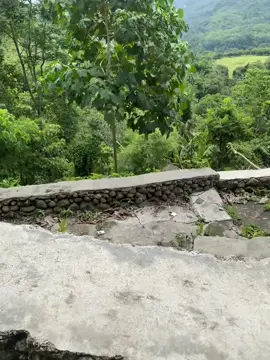 Pa Bukid - Indahag 