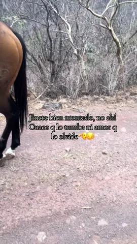 😇#vaquero #fyp #tiktokviral 