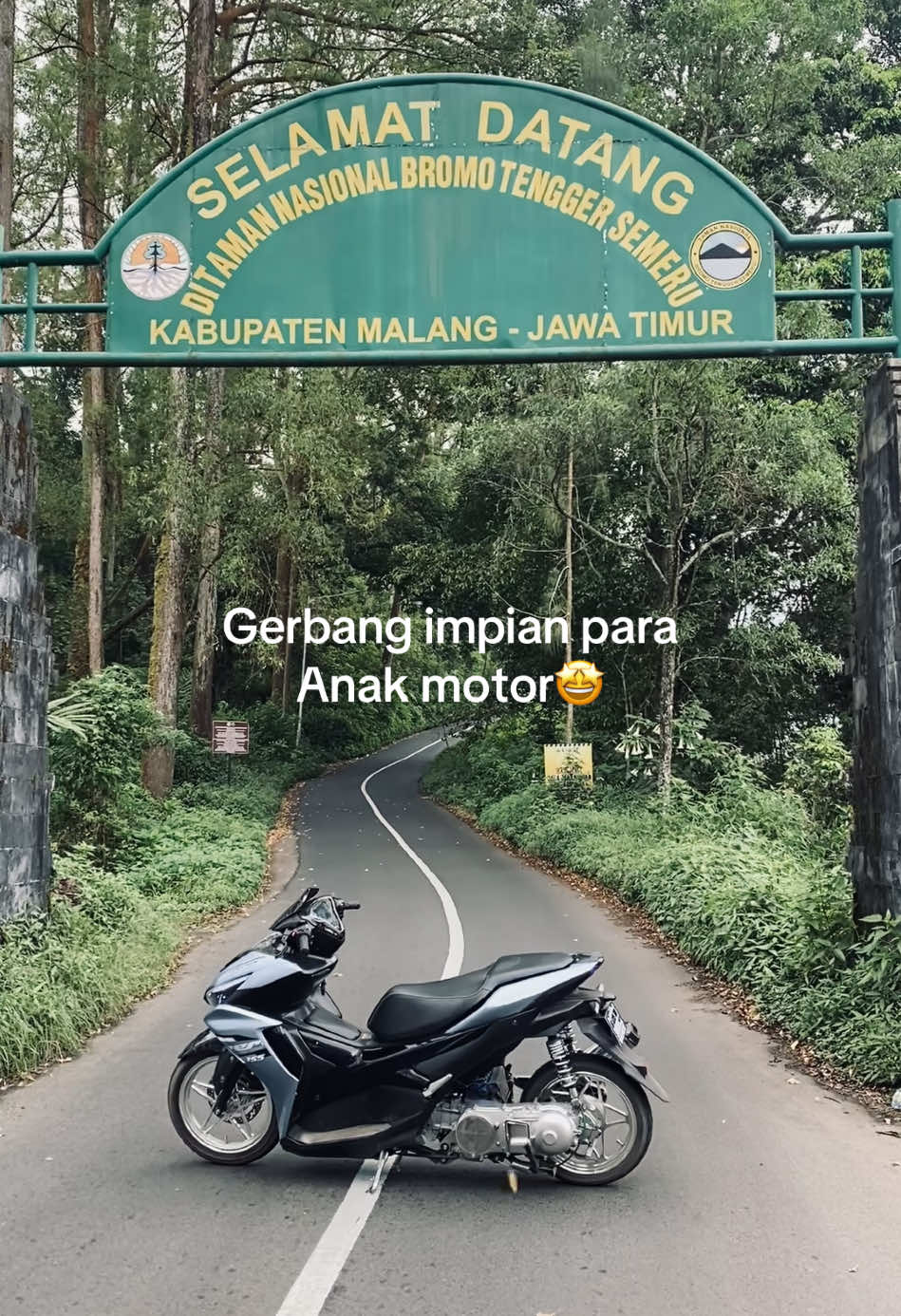 Sementara disini dulu next semoga bisa nyebrang🤩 #bromo #bromotenggersemeru #fyp #aerox #aerox155 