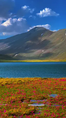 This is piece of heaven 😍 📍sheosar lake Deosai Astore valley Gilgit Baltistan 😍🏔️   You can join us on our every week trips to different destinations in Pakistan. 𝟑 𝐃𝐚𝐲 𝐭𝐫𝐢𝐩𝐬: 𝐃𝐞𝐩𝐚𝐫𝐭𝐮𝐫𝐞 𝐨𝐧 𝐌𝐨𝐧𝐝𝐚𝐲 & 𝐓𝐡𝐮𝐫𝐬𝐝𝐚𝐲 𝐟𝐫𝐨𝐦 𝐋𝐚𝐡𝐨𝐫𝐞 & 𝐈𝐬𝐥𝐚𝐦𝐚𝐛𝐚𝐝  3 Dsys trip to Shogran & Naran valley  𝟥 𝖣𝖺𝗒𝗌 𝗍𝗋𝗂𝗉 𝗍𝗈 𝖭𝖾𝖾𝗅𝗎𝗆 𝗏𝖺𝗅𝗅𝖾𝗒 𝖪𝖺𝗌𝗁𝗆𝗂𝗋 𝟥 Days 𝗍𝗋𝗂𝗉 𝗍𝗈 𝖲𝗐𝖺𝗍 𝗄𝖺𝗅𝖺𝗆 ＆ 𝖬𝖺𝗅𝖺𝗆𝗃𝖺𝖻𝖺 3 Days trip to Kumrat valley  3 Days trip to Ratigali Neelum valley  𝟓 𝐃𝐚𝐲 𝐭𝐫𝐢𝐩𝐬: 𝐃𝐞𝐩𝐚𝐫𝐭𝐮𝐫𝐞 𝐨𝐧 𝐓𝐮𝐞𝐬𝐝𝐚𝐲 & 𝐟𝐫𝐢𝐝𝐚𝐲 𝐟𝐫𝐨𝐦 𝐋𝐚𝐡𝐨𝐫𝐞 & 𝐈𝐬𝐥𝐚𝐦𝐚𝐛𝐚𝐝 𝟧 𝖽𝖺𝗒𝗌 𝗍𝗋𝗂𝗉 𝗍𝗈 𝖧𝗎𝗇𝗓𝖺 － 𝖢𝗁𝗂𝗇𝖺 𝖻𝗈𝖺𝗋𝖽𝖾𝗋 ＆ 𝖭𝖺𝗅𝗍𝖾𝗋 𝗏𝖺𝗅𝗅𝖾𝗒  𝟧 𝖣𝖺𝗒𝗌 𝗍𝗋𝗂𝗉 𝗍𝗈 𝖥𝖺𝗂𝗋𝗒 𝖬𝖾𝖺𝖽𝗈𝗐𝗌 ＆ 𝖭𝖺𝗇𝗀𝖺 𝗉𝖺𝗋𝖻𝖺𝗍 𝖻𝖺𝗌𝖾 𝖼𝖺𝗆𝗉  5 Days trip to Deosai & Minimarg astore  𝟔-𝟖 𝐃𝐚𝐲 𝐭𝐫𝐢𝐩𝐬: 𝐃𝐞𝐩𝐚𝐫𝐭𝐮𝐫𝐞 𝐨𝐧 𝐌𝐨𝐧𝐝𝐚𝐲 & 𝐅𝐫𝐢𝐝𝐚𝐲 𝐟𝐫𝐨𝐦 𝐋𝐚𝐡𝐨𝐫𝐞 & 𝐈𝐬𝐥𝐚𝐦𝐚𝐛𝐚𝐝 𝟨 𝖣𝖺𝗒𝗌 𝗍𝗋𝗂𝗉 𝗍𝗈 𝗌𝗄𝖺𝗋𝖽𝗎 － 𝖡𝖺𝗌𝗁𝗈 𝗏𝖺𝗅𝗅𝗒 06 Days trip to Minimarg- Rama & Deosai & Tarishing  7 Days trip to Skardu - Basho valley  & Deosai   𝟪 𝖣𝖺𝗒𝗌 𝗍𝗋𝗂𝗉 𝗍𝗈 𝖧𝗎𝗇𝗓𝖺 － 𝖢𝗁𝗂𝗇𝖺 𝖻𝗈𝖺𝗋𝖽𝖾𝗋 － 𝖲𝗄𝖺𝗋𝖽𝗎 𝖺𝗇𝖽 𝖡𝖺𝗌𝗁𝗈 𝗏𝖺𝗅𝗅𝖾𝗒  2 Days trip to shogran & siripaye  𝐅𝐨𝐫 𝐭𝐨𝐮𝐫 𝐝𝐞𝐭𝐚𝐢𝐥𝐬 𝐜𝐨𝐧𝐭𝐚𝐜𝐭 𝐨𝐧 𝐰𝐡𝐚𝐭𝐬𝐚𝐩𝐩 Number given in profile.  #foryou #foryoupage #foryoupage  