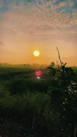#CapCut Pretty little baby . #capcutradio #chill #tiktok #today #sunrise #prettylittlebaby 