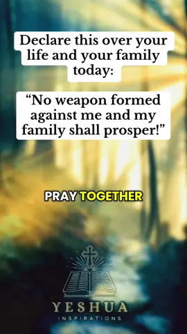 This prayer will protect your family today, Speak this into your morning: God will answer! #CapCut Sunday morning prayer 6/15/2025  #morningprayer #prayerfortoday #prayersdaily #dailyprayer #prayerforprotection #familyprayer #familyprotection #protection #prayer #creatorsearchinsights 