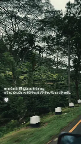 නැතිම වෙයි 💔🥀 #viral #foryou #highlight #trending #everyone #watsappstatus #vibes #sltiktok #feelings #lines 