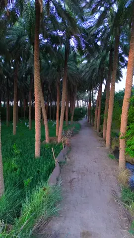 #المصور_غزوان_النمراوي #تصويري #عباراتكم_الفخمه📿📌 #اعادة_النشر🔃 #البونمر_ارواگ_الجزيرة #تصميم_فيديوهات🎶🎤🎬 #fyp #اكسبلور 