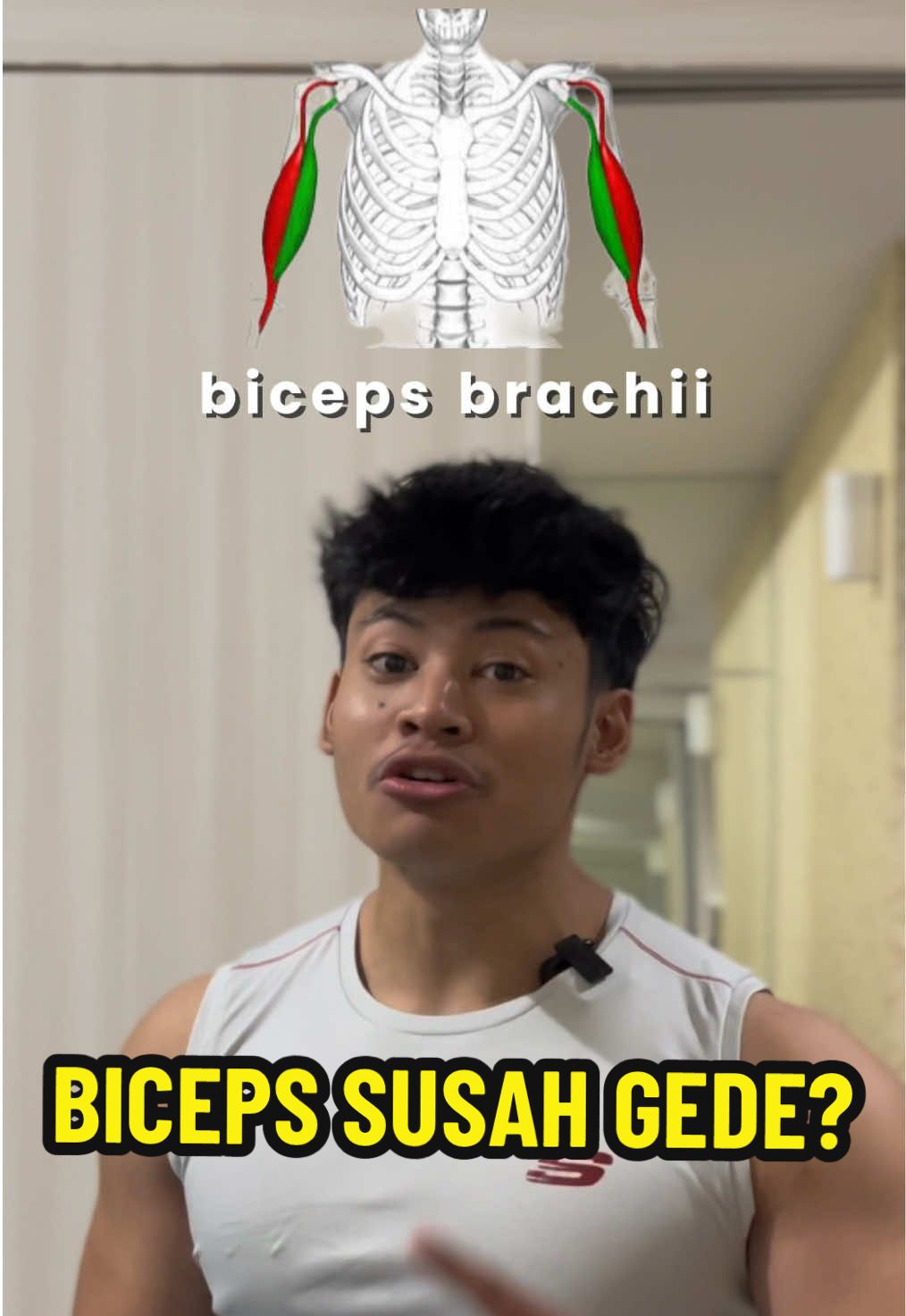 BICEPS GA GEDE-GEDE? mungkin lu belom tau ini. isi otak lu, biar latihan lu lebih maksimal dan efektif!