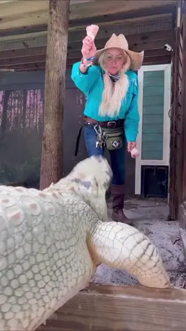 #gatorlandorlando #bearizonawildlifepark #xewf #evergladesnationalpark🐊 #texaswildlifepark #myrtlebeachsafari #sanantoniozoo 